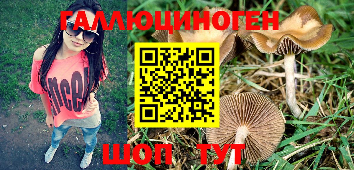 Комсомольск-на-Амуре  Псилоцибиновые грибы MAGIC MUSHROOMS  Вход с VPN 